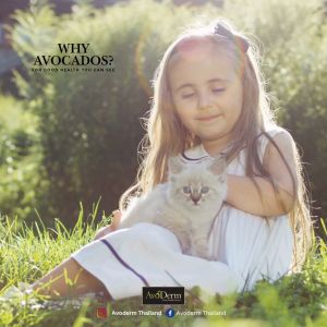 [5 KG] Avoderm Adult Cat Chicken & Herring Meal Formula อาหารเม็ด สำหรับแมวโตทุกช่วงวัย