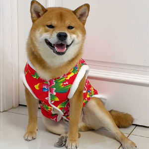 Warm Winter Dog Clothes Medium Size Pomeranian Dog Sweater New Years Festive Panda Cat Costume Casual Polyester Fiber