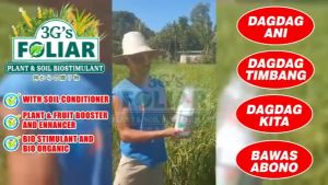 3Gs Foliar Fertilizer & Soil Biostimulant | Plant Growth Booster with Insect Repellent (Red Cup) & Non-Repellent (Green Cup) | Ideal for Rice Corn Vegetables and Fruit Crops | FREE Cup | Original Super Gold Japan Technology NPK | 250 500 1000 mL - NPK