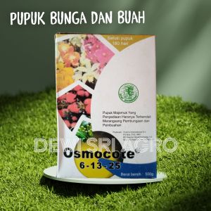 (stok lama exp 2024) Pupuk Bunga dan Buah Osmocote Dekastar 500 gram