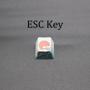 Coral Sea PBT Keycaps OEM Profile ESC & 6.25U Spacebar Compatible with Cherry MX Switch Mechanical Keyboard DIY Replacement