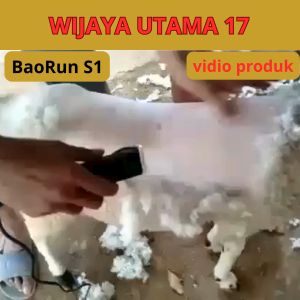 COD BaoRun PRO Alat Cukur Bulu Hewan Domba Garut Electric Pet Dog Hair Clipper S1 / alat cukur domba garut kambing kucing anjing Listrik murah / mesin cukur domba baorun S1