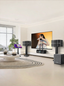WESTDING | Bộ Âm Thanh KTV Cao Cấp Cho Nhà