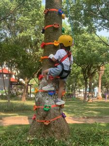 Rock Climbing Hold for Kids Climbing Rock Wall Stone Children Tree Climbing Straps Indoor/Outdoor Rock Wall Climbing Kit