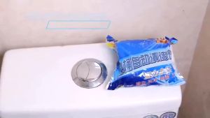 Viên thả bồn cầu toilet thơm gói 10 cục tẩy sạch mảng bám khử mùi hiệu quả diệt vi khuẩn an toàn tiện lợi