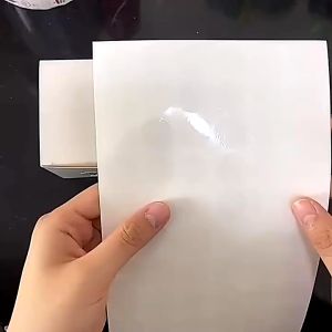 Isi 1000 Sticker Segel Kemasan Vinyl Bulat Polos Bening Transparan Sticker Label Sticker Segel Kotak Diameter 2/3cm Stiker Segel Anti Air