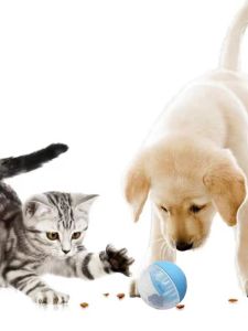 Intellectual Pet Feeding Ball Slow Feeder Toy for Cats And Dogs Helps Digestion Keeps Pets Busy And Engaged