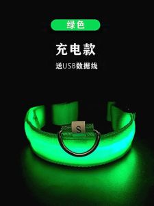 ปลอกคอเรืองแสงสำหรับสุนัขปลอกคอสำหรับสุนัขตัวเล็กพุดเดิ้ลจี้กระดิ่งเรืองแสงสำหรับสุนัขขนาดใหญ่และขนาดกลางอุปกรณ์วิเศษสำหรับสุนัขเดินเล่นเรืองแสงสำหรับสัตว์เลี้ยง