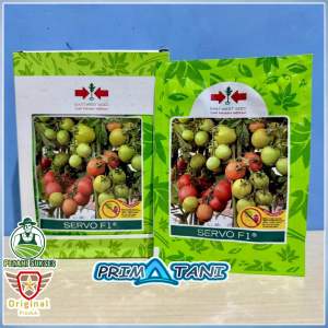 Servo F1 5gram  - Benih Tomat Cap Panah Merah Kemasan Pabrik (ASLI 100%)