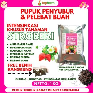 Pupuk Stroberi Berbuah Lebat / Pupuk Stroberi Biar Berbuah / Pupuk Pembesar Buah Stroberi / Obat Pupuk Stroberi / Pupuk Pelebat Buah Stroberi