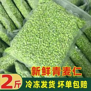 Fresh Young Wheat Green Wheat Grains 4jin