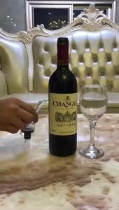 Wine Aerator Pourer Spout Premium Wine Decanter Professional Wine Pourer Wine Accessories Gifts for Wine Lovers