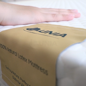 Nệm Cao Su Thiên Nhiên 100% LUNIA | Cao 15CM Màu Trắng