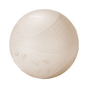 FitMind | Pregnant Women Friendly Burst-Proof Yoga Ball Large