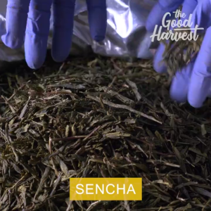 Sencha Loose Leaf Green Tea - RETAIL