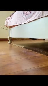 SKISOPGO แผ่นกั้นรูปตัว L รั้วพลาสติก ป้องกันไม่ให้เข้า สําหรับกั้นสัตว์เลี้ยง สุนัข แมว