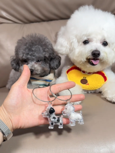 Móc Khóa Lưu Niệm Hình Chú Chó Dễ Thương Bằng Nhựa Trong Suốt Đồ Trang Trí Treo Đồ Lưu Niệm Đồ Chơi Đồ Chơi