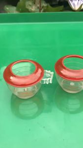 Cóng ăn uống nhựa cho chim chào mào chích choè chim yến chim khuyên 1 chiếc. Phụ kiện lồng chim giá rẻ