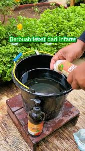 INFARM - Pupuk Fruit Expert Asupan Nutrisi Perangsang Buah 500 Gram