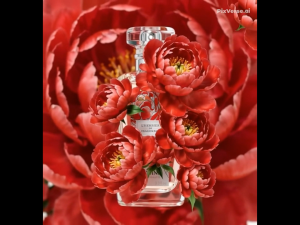 NEW Fragonard Herbier Collection Pivoine (Peony) Perfume by Senteurs de Provence since 2004