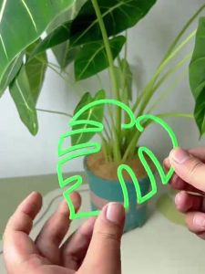 Monstera support anti-falling support spring feather collection shaping frame gardening flower pot flower support