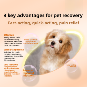 Doxycycline Hydrochloride Tablets for Pets Dogs And Cats Coughing Sneezing Runny Nose Medicine Cat Nasalitis Respiratory Disease