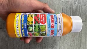 Thuốc Trừ Nấm Bệnh TOSHIRO 10EC - Đặc Trị Vàng Lá Thối Rễ Héo Rũ Thối Thân Mốc Sương Phấn Trắng (Chai 240ml)