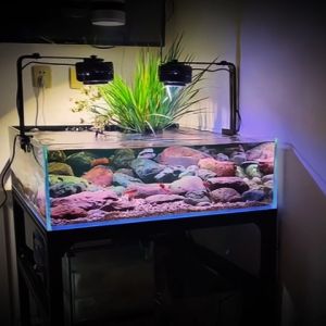 BSFH GUO CHAO Aquarium Stream Tank Plants Tank Light（碧水风合国潮溪流缸草缸鱼缸照明灯）
