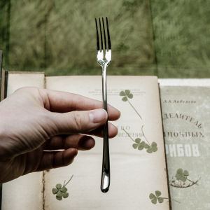 Vogue Ella British Afternoon Tea Vintage Lock Eye Cake Fork Four Teeth Fruit Fork Stainless Steel 18-10 Dining Utensils