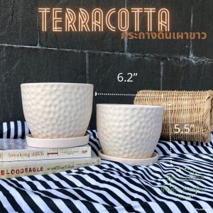 กระถางต้นไม้minimal กระถางดินเผา 6 นิ้ว กระถางดินขาว กระถางต้นไม้มินิมอล  ขนาด ปา่กกว้าง 6.2" สูง 5" เนื้อกระถางเนียน งานสวย