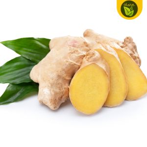 Luya Ginger Bulb Seeds 1 pc. for Planting Herb