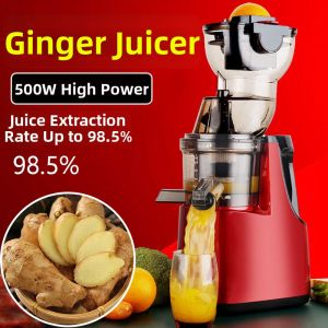 MEISITEKEKE | Ginger Juice Extractor Electric Juicer for Home