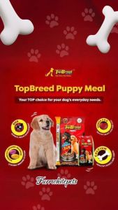 Top Breed Puppy/Adult (1 Kilo) | Repacked by FurrWhitePetsShop