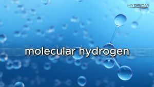 [Free Installation] Elken Hydromi Hydrogen R.O Water Purifier (NH500) + Extra pre-filter set + Extra 1 Year Warranty