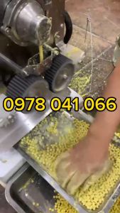 Máy vo viên AW95 vo viên thuốc bắc thuốc đông y tự động