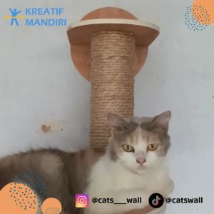 Garukan 60m + Rajut Bulat - Cats Wall - Cat Playground