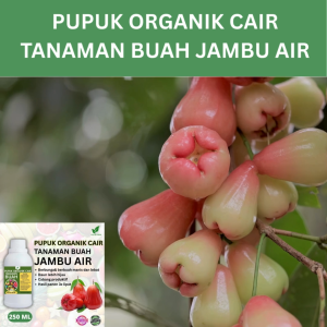 Pupuk Buah Jambu Air 250 ML /Pupuk Booster Jambu Air Cepat Berbuah Lebat/Pupuk Cair Jambu Air