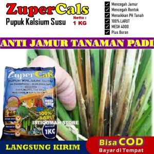 ZUPERCALS 1 KG - Pupuk Kalsium Susu Anti Jamur Tanaman Padi Paling Ampuh Meningkatkan Ketahanan Padi terhadap Penyakit Jamur Menyuburkan Tanaman Meningkatkan Hasil Panen dan Menjaga Kualitas Padi secara Efektif dan Optimal