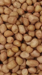 花生 250g Raw Peanut China Kacang mentah 中国花生米