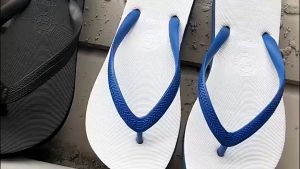 Nanyang Thai Classic Plain Flip-flops Shark Natural Rubber Slippers for Men