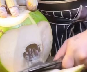 HUAFA Mall ดิฉันตอนนำเสนอ วัตถุประสบการณ์เสริมจมูก สายมะพรรณู กระดูกสเตนเลสหนา คมกริบ รุ่นขายดี หมอนส์ แรงมู มีดอีโต้หัวกลม แบบดี ใช้ดี