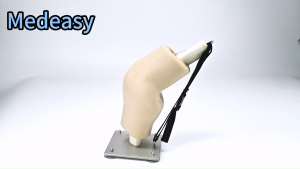 Arthroscopy Simulated Knee Joint ModelKnee Joint Model