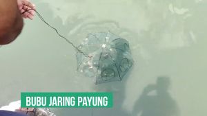 Perangkap Bubu Payung 8 Lubang: Alat Jaring Pancing Jala Ikan Udang Kepiting Lele Lobster Sungai Laut Danau Fish Trap Net