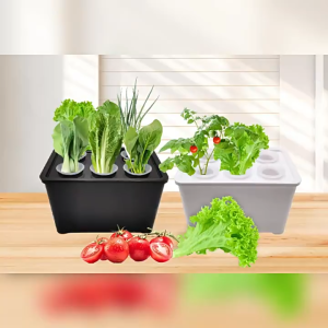 Indoor Hydroponics Grower Kit DIY Self Watering Indoor Hydroponics Tools for Plants Herb Garden Planting Container MG-SG