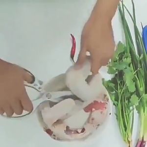 Local Delivery SK5 Scissors Japan Kitchen Scissors Heavy Duty Scissors Gunting Pokok Gunting Dapur Gunting Ikan Tahan Lasak Good Pet Shop