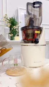 Ecohome Slow Juicer Big Mouth ESJ-999BM Cold Pressed for Fruit 55 RPM