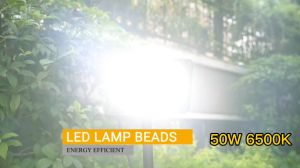 (BUY 1 TAKE 1)LAIMA LED Floodlight 220V Outdoor Spotlight Wall Reflector Lighting Waterproof IP66 Hanging Exterior