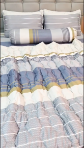 ️🏅SIÊU SANG🏅Bộ Ga Gối Lyocell Than Hoạt Tính Thoáng Mát Kháng Khuẩn Chăn Chần Bông _ Nemtot Bedding