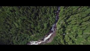 Penghantaran dari China [2025]500ml Minyak Pati Aromaterapi Tanpa Api Berkapasiti Besar Biru Lonceng Angin Isi Semula Cecair Minyak Wangi Bilik Wangian Ho Lima Bintang 3.8