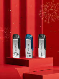 SanDisk | High Speed Car Computer System Flash Drive 32GB